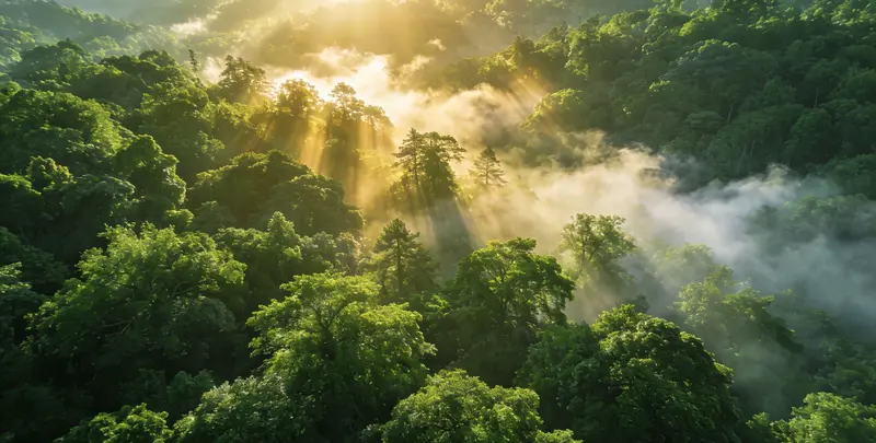 玉林肺癌49基因检测图片1