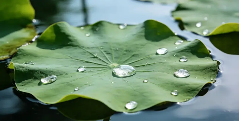 玉林乳腺癌21基因mRNA表达分析图片1