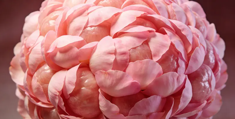 玉林BRCA1/2乳腺癌卵巢癌基因检测图片1